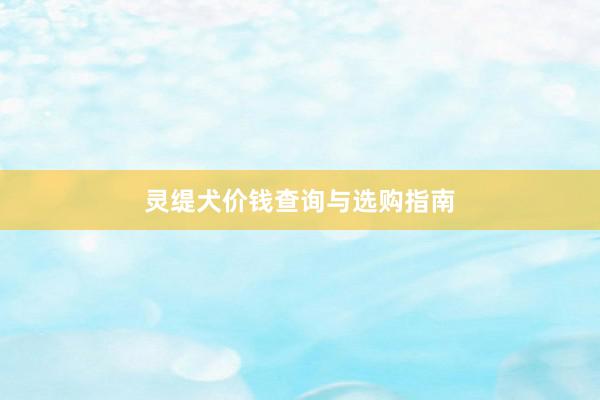 灵缇犬价钱查询与选购指南